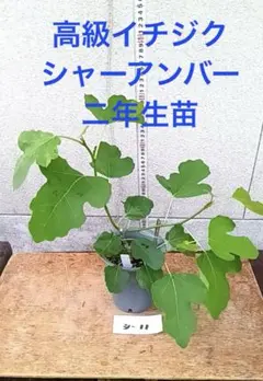 ゆうなちゃん様 リクエスト 2点 まとめ商品