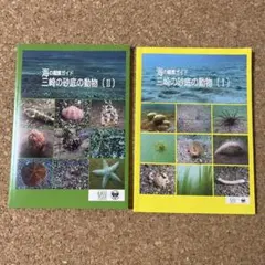 Item thumbnail for item b35c05b0-5163-4c25-802e-7221e9c08227