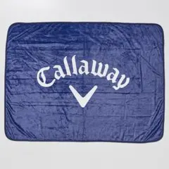 Item thumbnail for item 3b13a27e-496b-47c9-a8c2-274ffdcde46c