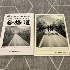 2026年最新】NN早大学院の人気アイテム - メルカリ