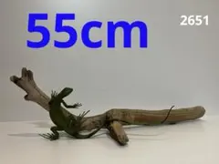 Item thumbnail for item ffb21cf8-104a-4d0a-b0cd-f11e16862f8f