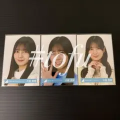 小坂菜緒 ヨリ3枚セット ひな誕祭 MONSTER GROOVE 日向坂 生写真