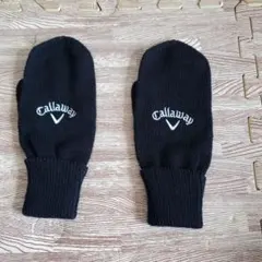 Item thumbnail for item 00634a04-e1b6-4ef7-aaf3-6751af7da945