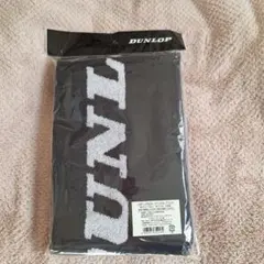 Item thumbnail for item 7d58e797-38de-4df1-81db-9efd20a8e28f