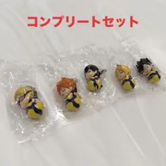 ハイキュー MIKASA めじるしますこっと おやすみタイム コンプリート