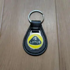 Item thumbnail for item 9f721772-dd07-468a-b747-176b6f89f4f3