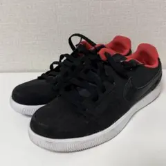 NIKE ダイナスティライトロー SL メンズ 28 黒赤 666900-061
