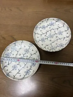 Item thumbnail for item 1b8b38f9-986a-4005-bddf-9ce99bf302b0