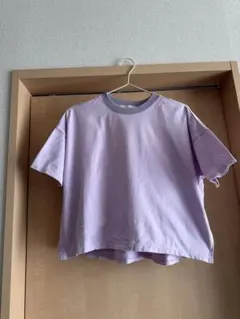 STUDIOUS Tシャツ　フリーサイズ