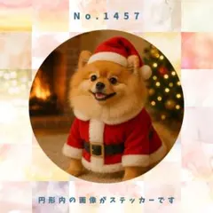 【送料無料】　防水ステッカー　ポメラニアン　クリスマス　No.1457