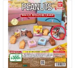 PEANUTSビスケットミニチュアチャーム