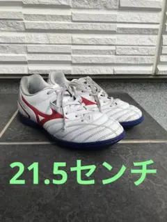 くぅ様　専用　Mizuno サッカー　トレシュ　21.5センチ
