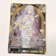 2026年最新】RZ/S116-027EX[SEC+]：導き出した答え エミリアの人気