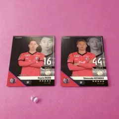 JLEAGUE FANTASY CARD 셀레소 오사카 2장 세트