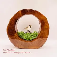 Item thumbnail for item 13a6cf0d-66a2-4d35-b2c1-e064b6ed0556