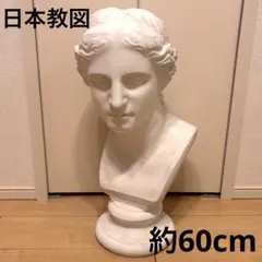 芸大 美大 カピトリーノ ミロ ヴィーナス 石膏像 - メルカリ