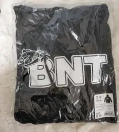 Item thumbnail for item c26b1ce0-56f0-47d8-8713-0cd4ebf89cbc