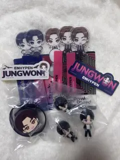 エナイプン ENHYPEN ジョンウォン ガチャガチャ セリア