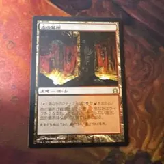 2025年最新】血の墓所の人気アイテム - メルカリ