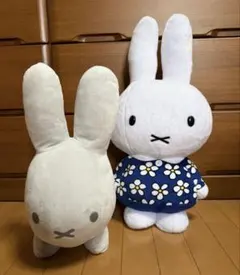 Item thumbnail for item e8ed20ac-9c6b-43f4-9fc3-00c1d1e899e9