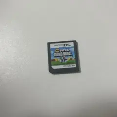 New super mario bros ニュースーパーマリオブラザーズ　DS
