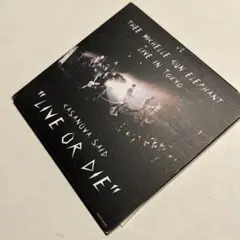 CASANOVA SAID\"LIVE OR DIE\"～ミッシェル・ガン・エ…