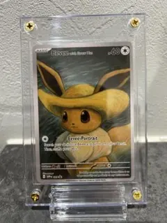 早い者勝ち❗️イーブイ　星月夜　海外限定