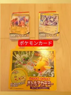 ポケモンカード バトルアカデミー＋EXスタートデッキ　まとめ売り