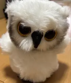 2025年最新】ty ぬいぐるみ フクロウの人気アイテム - メルカリ