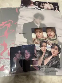Stray Kids スキズ DO IT“IT ver”通常盤 開封済チャンビン