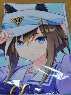 Item thumbnail for item 3e811a0c-370d-48ed-a719-60a1f5a38258