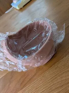 Item thumbnail for item e816e57f-3cc5-4d1f-9601-c661f6f65530