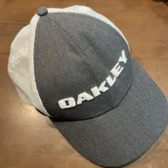 Item thumbnail for item e06aa50c-a9ce-4492-8192-7adbd09fd896