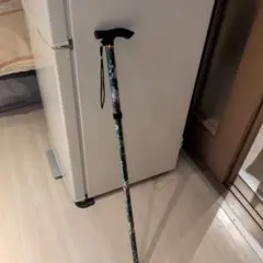 Item thumbnail for item 5386fab6-e893-4186-a1d0-4ddf5d6cb80b