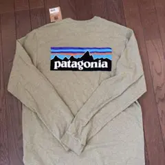 patagonia responsible-TEE Mのサムネイル