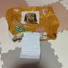 Item thumbnail for item b87aa67b-8bdf-49b3-88ab-d567c6e19378