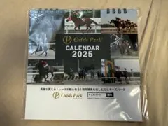 Item thumbnail for item a3e77357-3635-41d2-99e0-ac8b87b28304