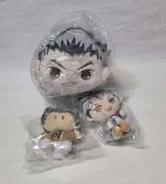 ハイキュー！！ くじメイト ぬいくじ C賞 D賞 E賞 赤葦京治 木葉秋紀