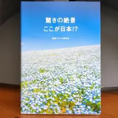 ともなな様 リクエスト 2点 まとめ商品