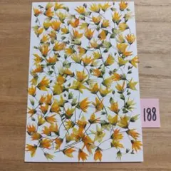 Item thumbnail for item f01cbab8-7c11-42fa-b28f-51d24bdbab40