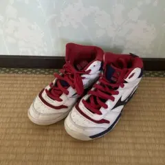 Item thumbnail for item 497a963c-b042-40a3-bcb0-53ba65aadc16