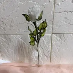 ローズ(ダークホワイト！)