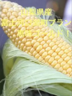 サンゴールドキウイフルーツ25玉41個入✖︎2ケース - メルカリ