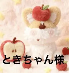 ときちゃん様　専用