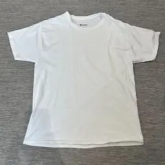まあみー様専用　チャンピョン　championのサムネイル