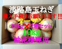 淡路島玉ねぎ紐付き10kg2箱セット農家直送南あわじのサムネイル
