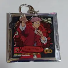 呪術廻戦　アクリルキーホルダー　カンフーシリーズ　虎杖悠仁