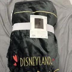 ディズニーランド パリ ブランケット　おしゃれキャット　マリー