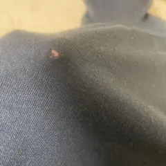 noopy様　ご専用となります