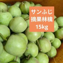 期間限定価格　摘果りんご　加工用サンふじ林檎　約12キロ 送料込み 35のサムネイル